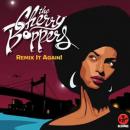 GLOBAL FUNK PARTY! with THE CHERRY BOPPERS Dj Set & MAKALA djs
